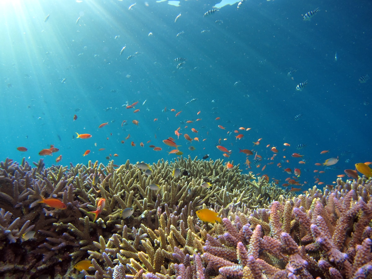 Andaman